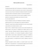 Síntesis gestión de proyectos