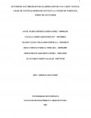 ESTUDIO DE FACTIBILIDAD PARA ELABORACION DE UNA CARNE VEGETAL A BASE DE LENTEJAS