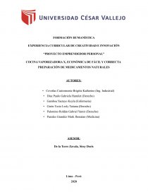 “PROYECTO EMPRENDEDOR PERSONAL” COCINA VAPORIZADORA X, ECONÓMICA DE FÁCIL Y CORRECTA PREPARACIÓN DE MEDICAMENTOS NATURALES. Página 1