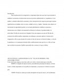 APLICACIÓN DE LA REINGENIERIA AL DE “TALLER DE MORERIA JOSE ALEJANDRO TISTOJ”