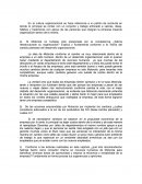 Desarrollo organizacional Motorola