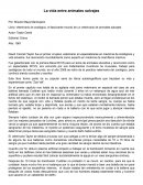 Veterinario de zoológico, el fascinante mundo de un veterinario de animales salvajes