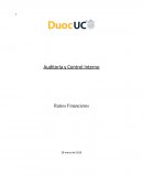 Auditoria control interno ratios finanieros