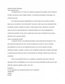 Plancha Transfer Neumatica