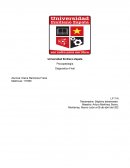 Diagnostico Final- El joker