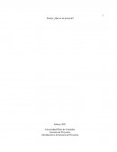 Gerencia de Proyectos. Introducción a la Gerencia de Proyectos