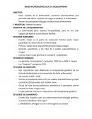 BASES NEUROBILÓGICAS DE LA ESQUIZOFRENIA