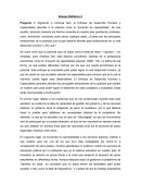 Ensayo crisis sanitaria