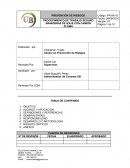 PROCEDIMIENTO DE TRABAJO SEGURO MANIOBRAS DE IZAJE CON CAMIÓN PLUMA