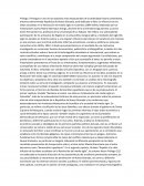 Revolución del medio siglo en Colombia (1849-1854)