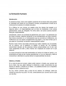 La formación humana - ensayo