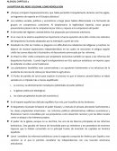 Capitulo 3 de alsaldi