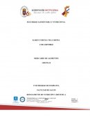 SEGURIDAD ALIMENTARIA Y NUTRICIONAL