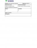 Gestión de abastecimiento, demanda y sistemas de información