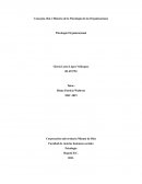 CONCEPTO, ROL E HISTORIA DE LA PSICOLOGÍA DE LAS ORGANIZACIONES