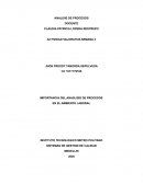IMPORTANCIA DEL ANALISIS DE PROCESOS EN EL AMBITO LABORAL