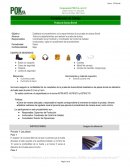 Corporación POK S.A. de C.V