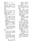 ESTRUCTURA DE GENES Y TIPOS DE ADN