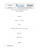 ESTADOS FINANCIEROS BASICOS Y CONSOLIDADOS