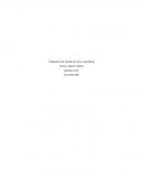 Tratamiento de cuentas de activo específicas, empresa Grosve Ltda