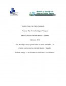 Ensayo general sobre los temas analizados y su relación con los procesos interindividuales y grupales