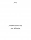 Diario de aprendizaje- libro Alemania