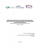 DIFERENTES PARADIGMAS DE INTEGRACIÓN SENSORIAL, PARA POTENCIAR A LOS ESTUDIANTES CON NECESIDADES EDUCATIVAS ESPECIALES