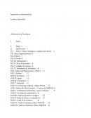 Análisis de la empresa Adidas ( Administración estratégica)