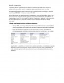 Ejecución Presupuestaria. Seguridad Nacional