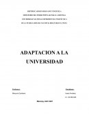 Adaptacion a la Universidad