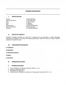 Informe Psicológico PIE