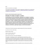 GUIA ¿Qué es el conductismo en psicología?