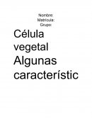 La célula animal