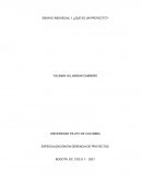 ENSAYO INDIVIDUAL 1 ¿QUÉ ES UN PROYECTO?