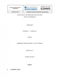 ESTADOS FINANCIEROS BASICOS Y CONSOLIDADOS. Página 1
