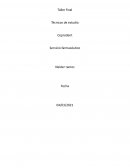 Taller final tecnicas de estudio