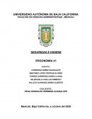 Ergonomia en el puesto de carniceria