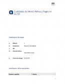 Cualidades de Word, Writes y Pages en los SO