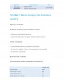 Balanza de pagos, tipo de cambio y equilibrio