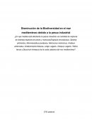 Disminución de la Biodiversidad en el mar mediterráneo debido a la pesca industrial