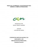 ENSAYO DE LAS EMPRESAS Y SUS ESTRATEGIAS PARA ABRIRSE AL COMERCIO INTERNACIONAL