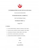 Modelo de negocios STATKRAFT PERÚ S.A.