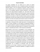 Grupos Vulnerables