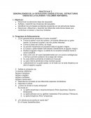 Anatomia cuestionario