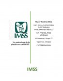 Reporte escrito de la Plataforma del IMSS