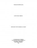 TRABAJO DE HORTALIZAS