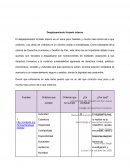 Desplazamiento forzado interno
