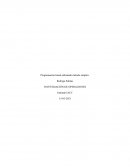 Programación lineal utilizando método simplex