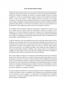 SG Cown Nuevos reclutas