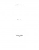 Foro de la oferta y la demanda . Gestión de mercados